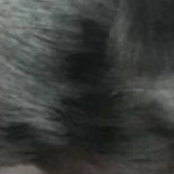 jaylevine76